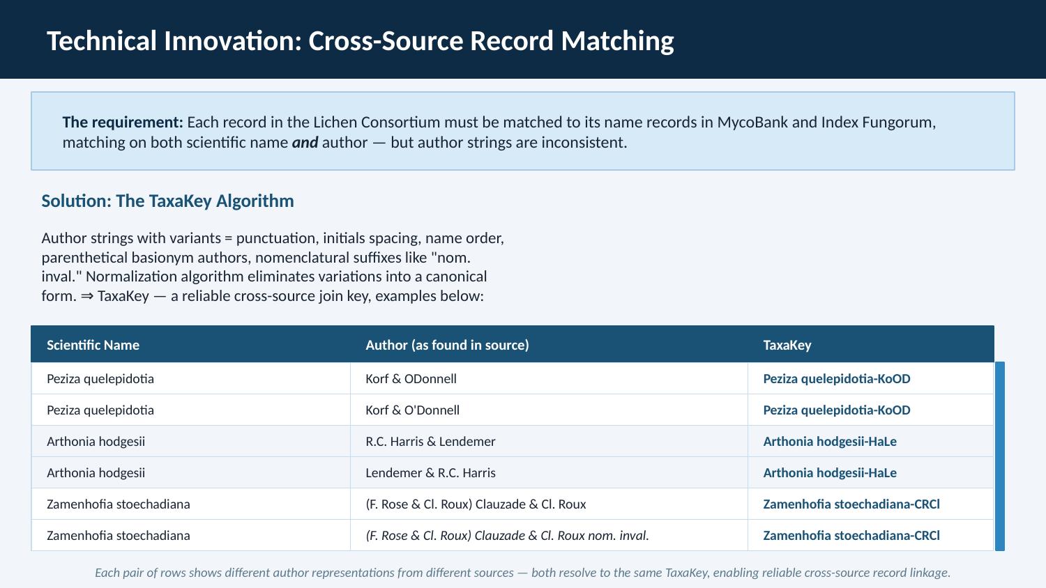 Technical Innovation: Cross-Source Record Matching (TaxaKey)