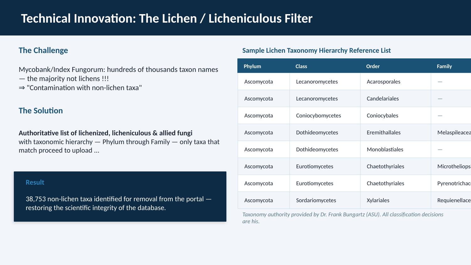 Technical Innovation: The Lichen / Licheniculous Filter