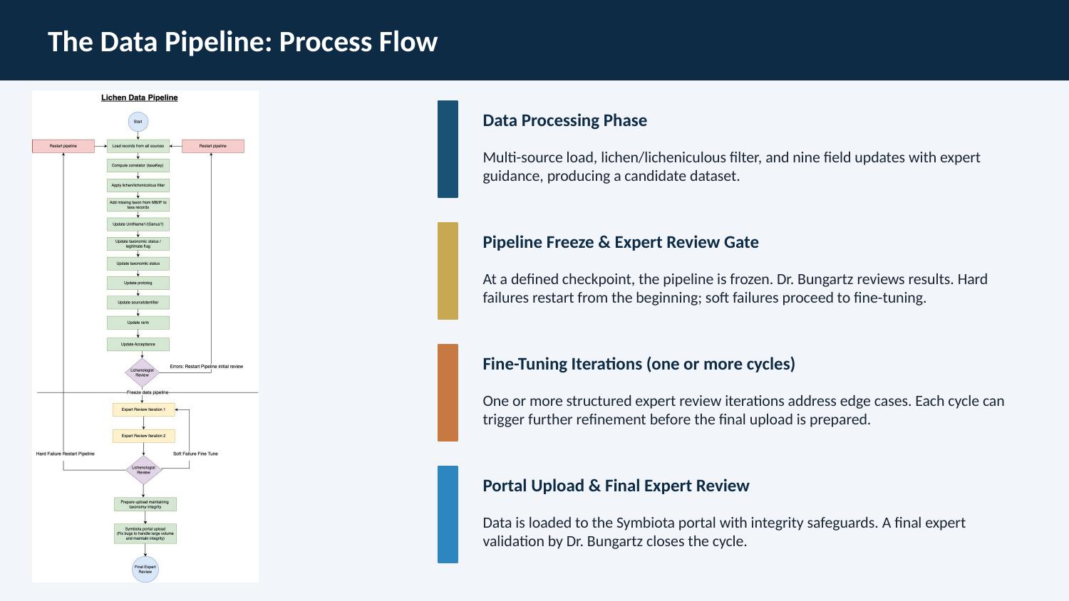 The Data Pipeline: Process Flow